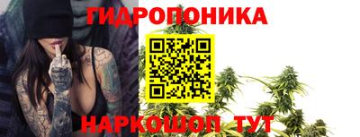 jwh Кимры