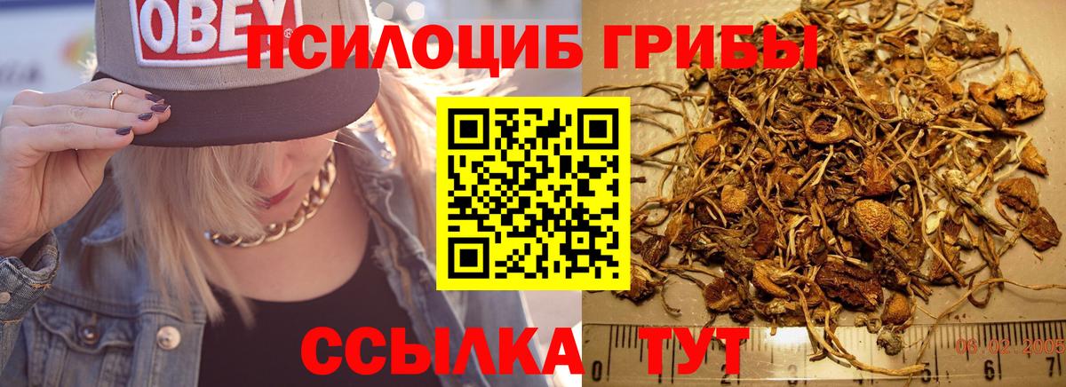 Галлюциногенные грибы MAGIC MUSHROOMS Еманжелинск