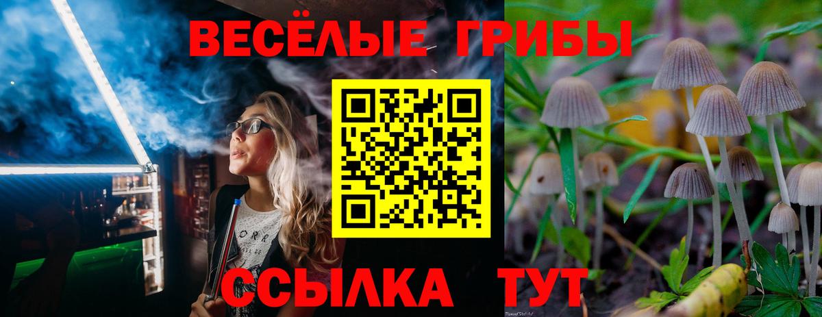 Еманжелинск  Псилоцибиновые грибы Magic Shrooms  Вход с VPN 